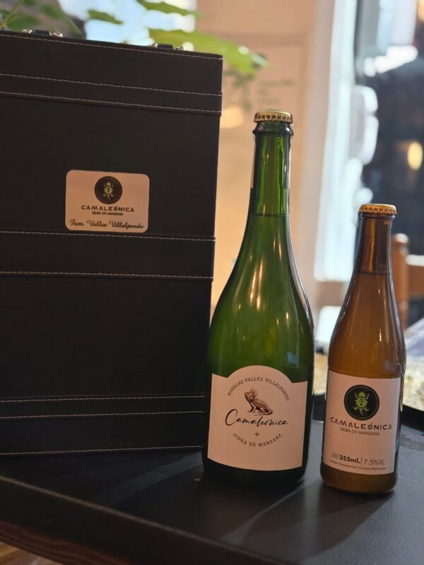 Caja de Sidra Camaleónica 355mL